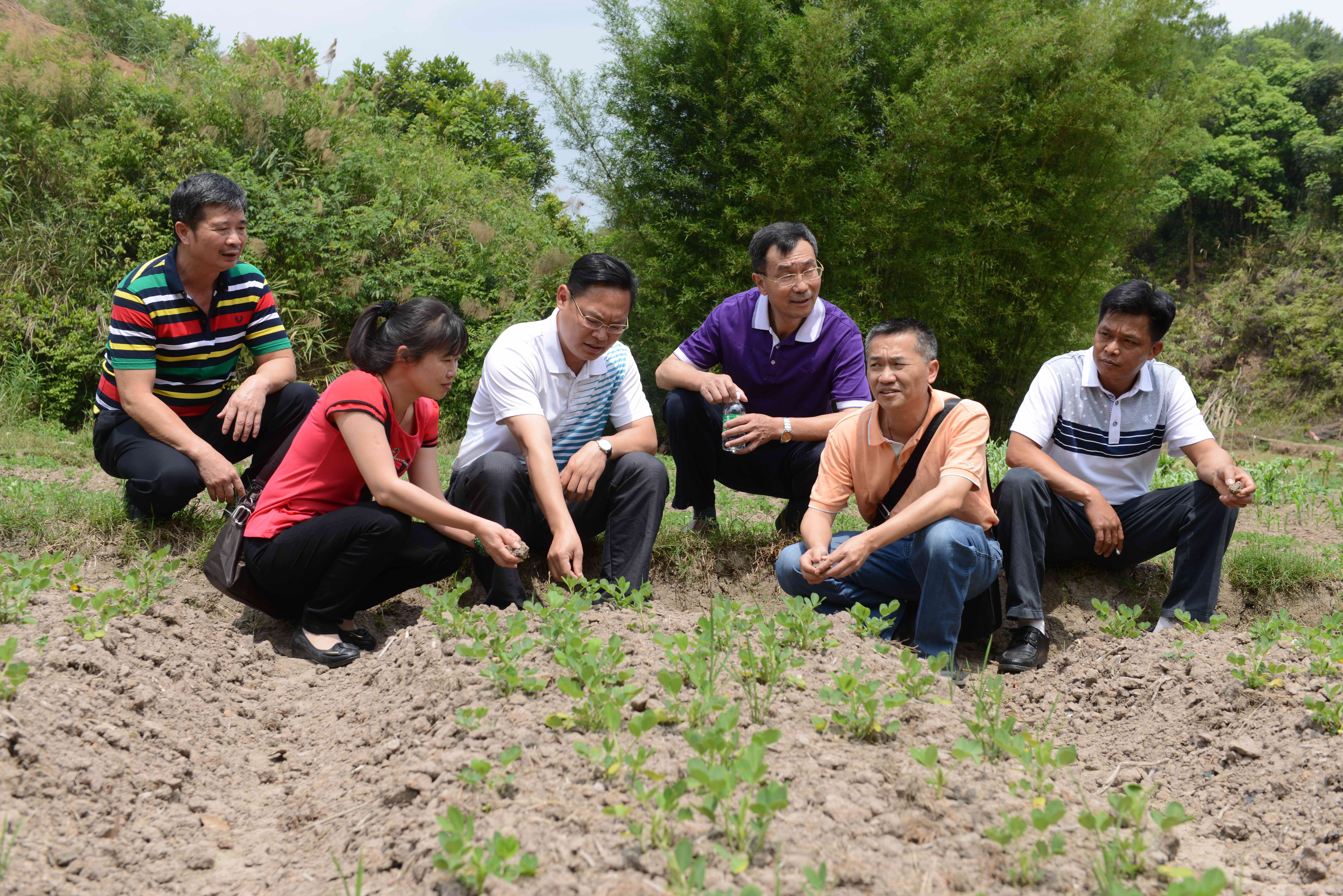 全國五一勞動獎?wù)芦@得者吳健華指導村及分析土壤