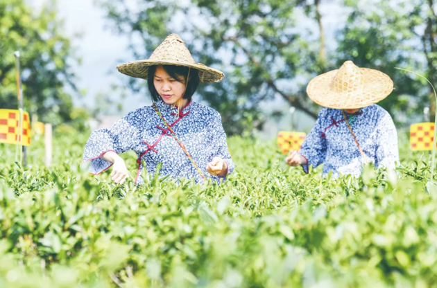 國家批復同意，梧州籌建！