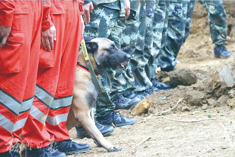 消防、武警、摩托車運(yùn)輸隊(duì)等多方力量聯(lián)合搜救｜東航客機(jī)墜毀事故救援現(xiàn)場(chǎng)直擊