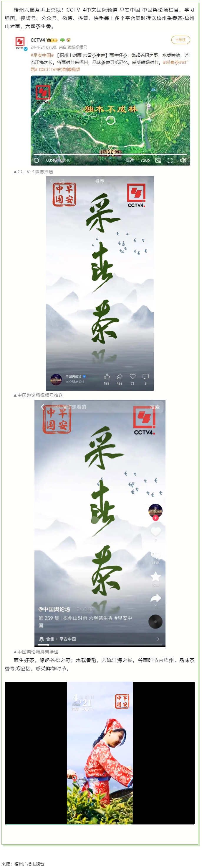 央視、學習強國等十多個平臺同時推送梧州采春茶&middot;梧州六堡茶.png