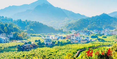 排名全國第13名！“梧州六堡茶”品牌價(jià)值實(shí)現(xiàn)新突破