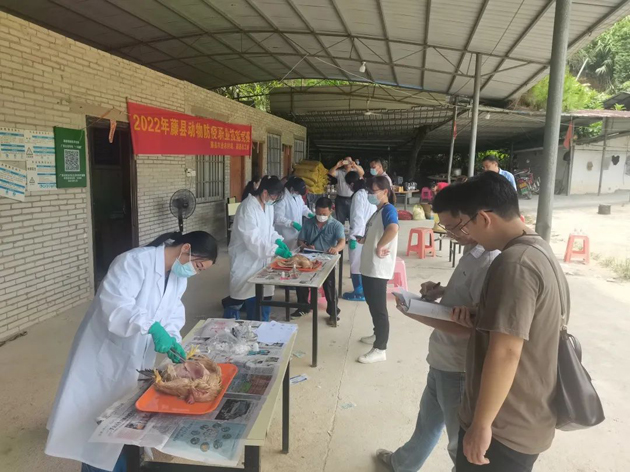 藤縣總工會(huì)舉辦首屆動(dòng)物防疫職業(yè)技能競賽活動(dòng)